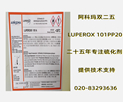ARKEMA LUPEROX 101PP20p